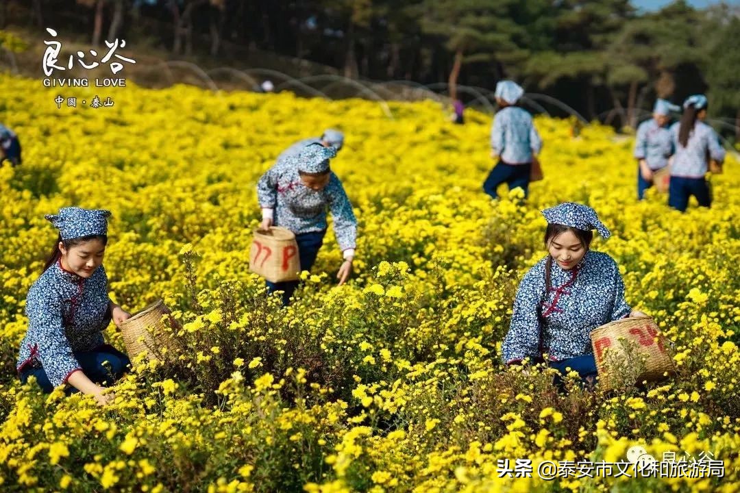 马上过年了买点北方的特产,快过年了有什么东西送给家人