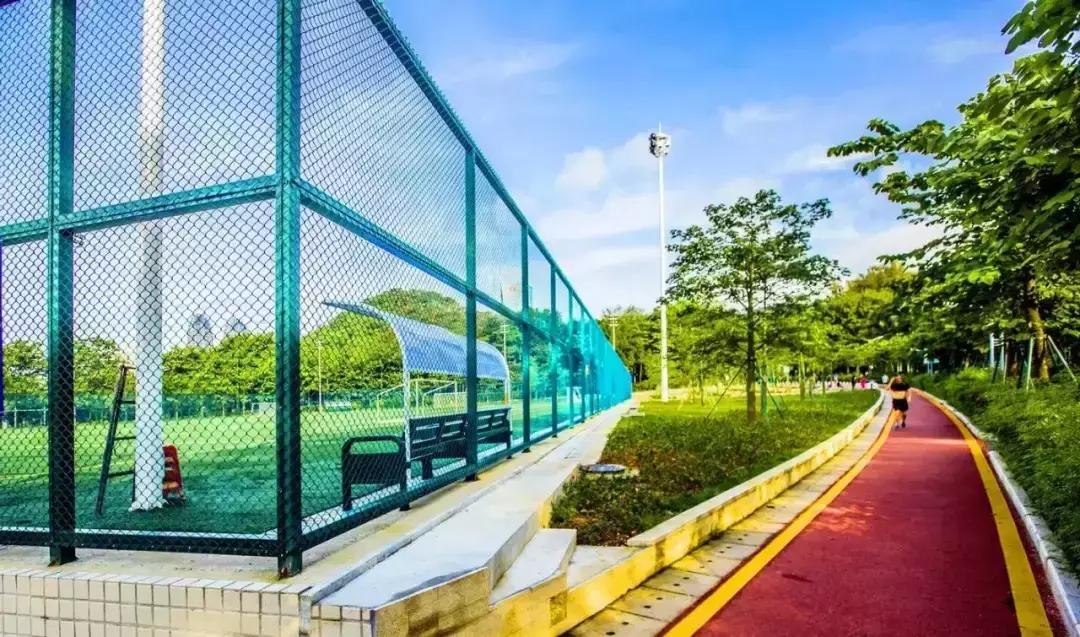 深圳适合春游的地方推荐及理由,深圳不可错过的游玩地方