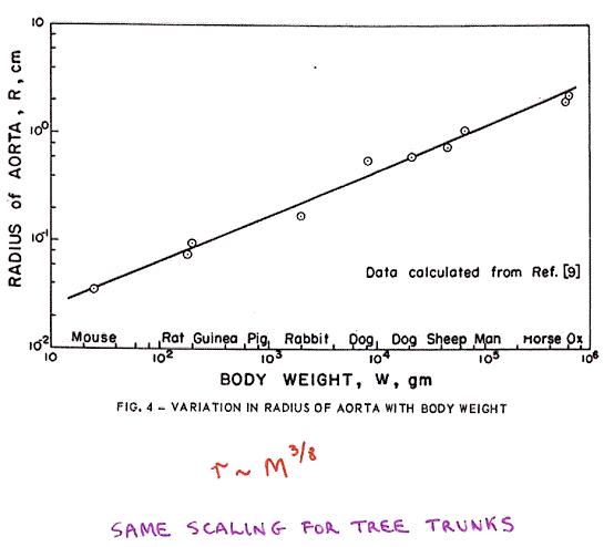 科学家找到6个神奇的数字,科学家找到6个神奇数字