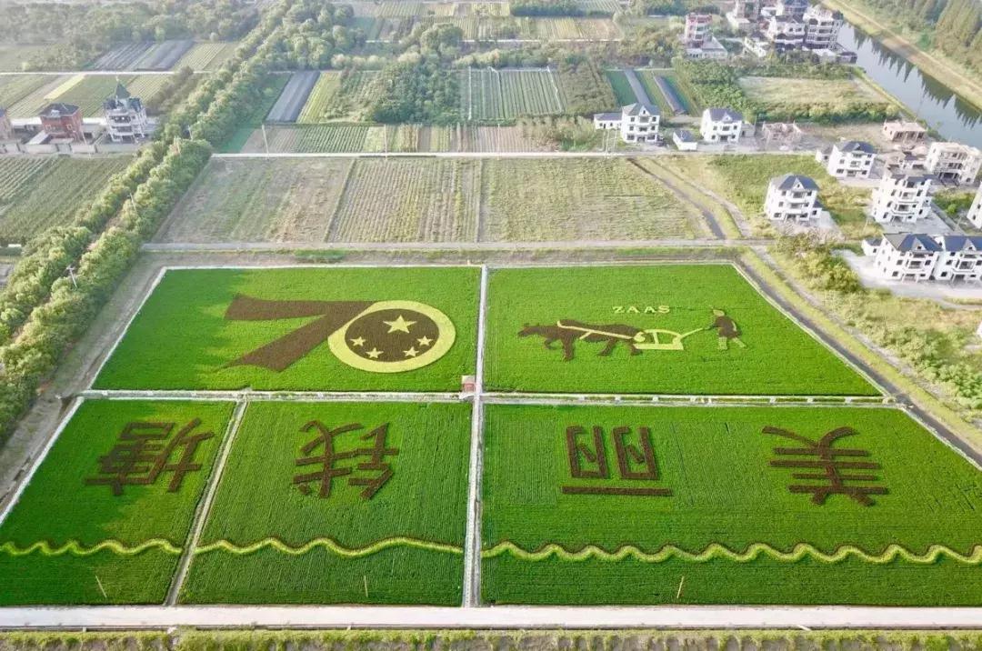 钱塘江出现巨幅画作,钱塘江大潮图片绘画