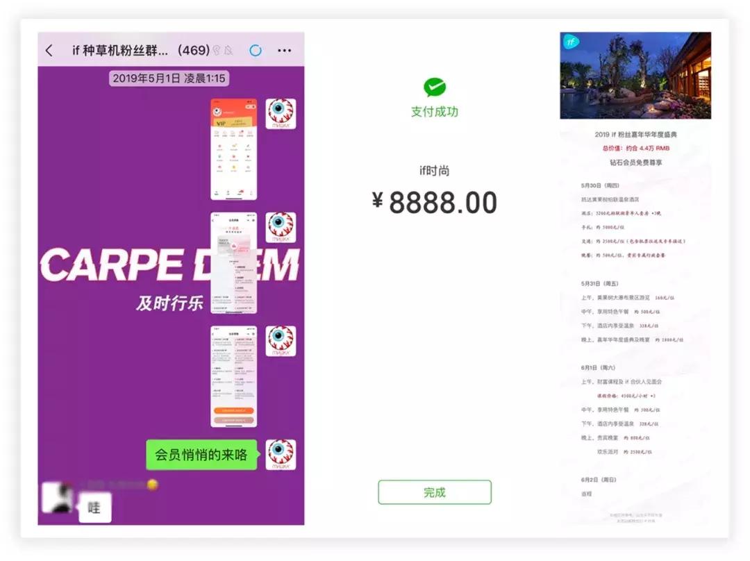 ifer来信|总被问if是什么?她是美好的存在