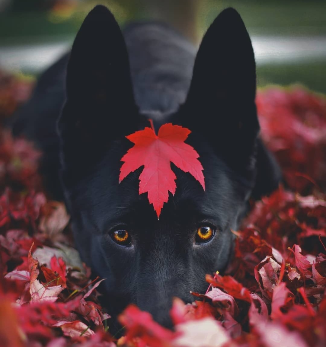 从零开始记录我的创业历程,我和创业的故事