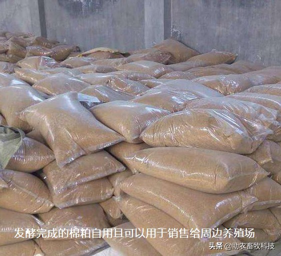 如何鉴别液体肥发酵成功了,发酵料好坏怎么判断