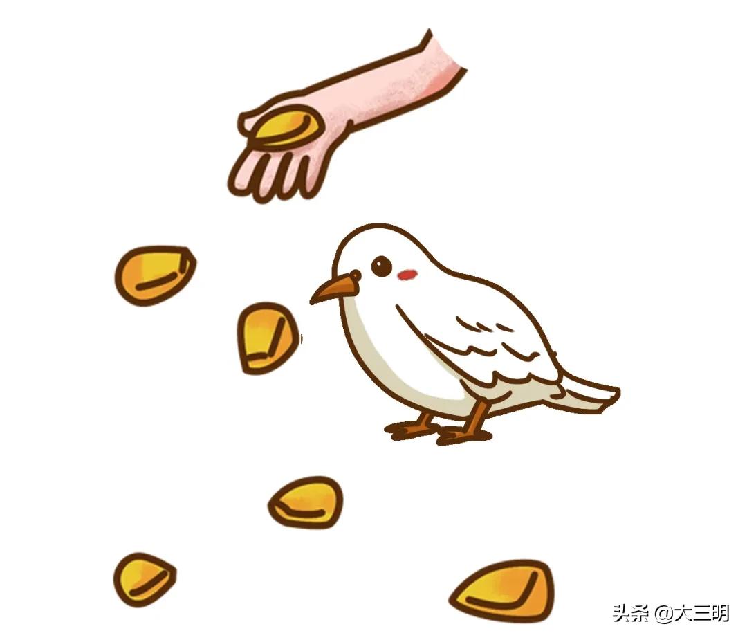 日入千元靠谱吗,日入千元可信吗