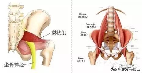 胯松开了，原来是这个样子