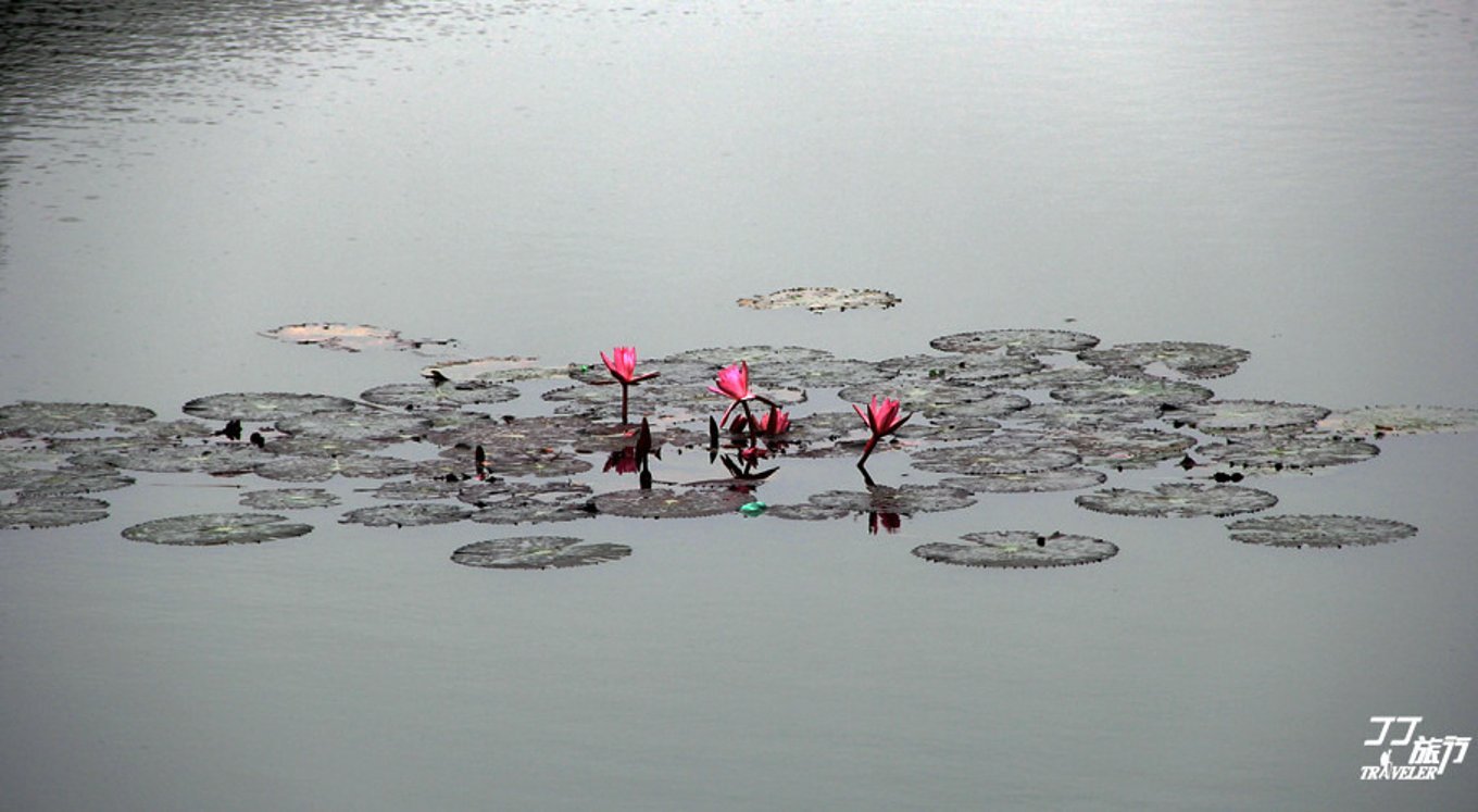 波澜不惊可以形容水面吗,描述海上邮轮的感觉