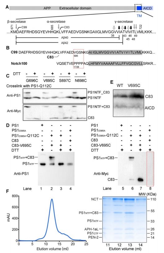 施一公与徒弟颜宁,施一公徒弟颜宁