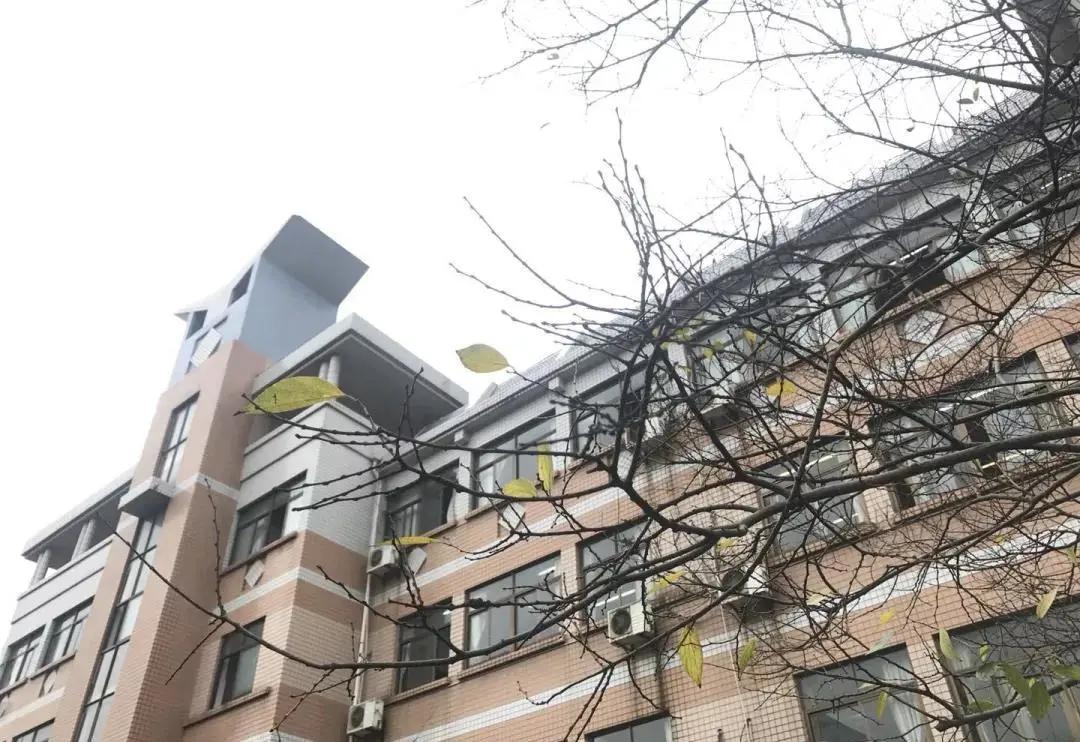 杭州公民同招征求意见,公民同招杭州