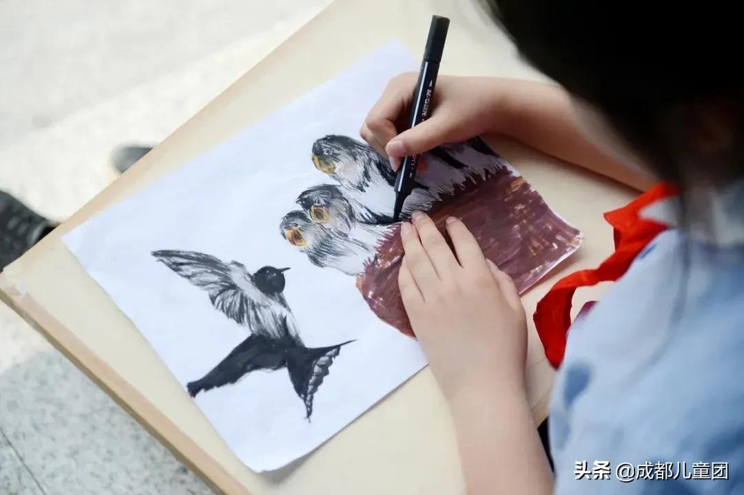 生态园的青蛙，屋檐上的燕子……都是成都这所小学的“校宠”