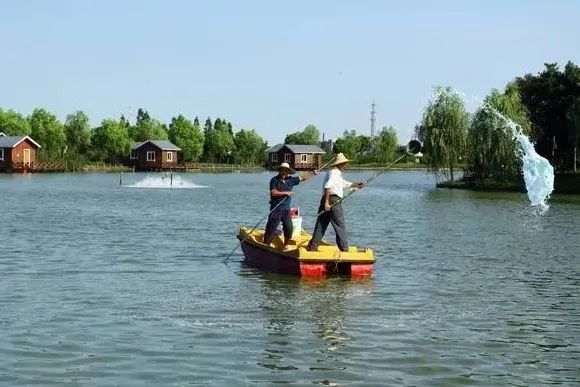 养殖土地杀菌药最好的是什么药,水产养殖消毒产品