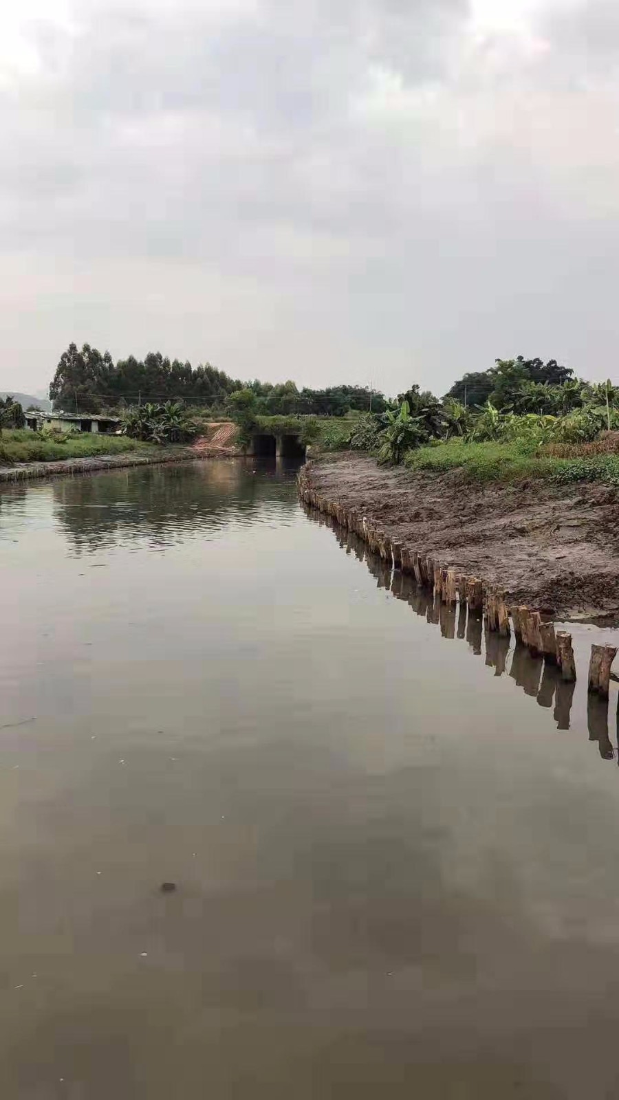 遵义清淤水陆两用挖掘机出租,贵州挖掘机出租公司