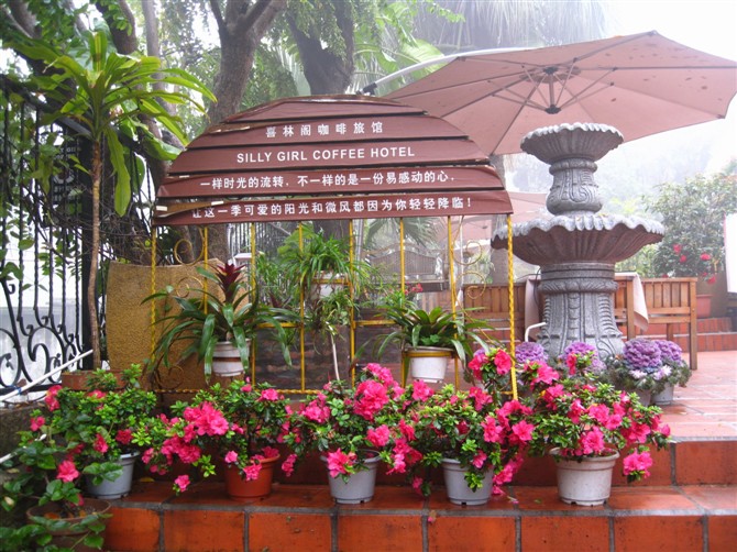 鼓浪屿必去的小店,厦门鼓浪屿最美小店