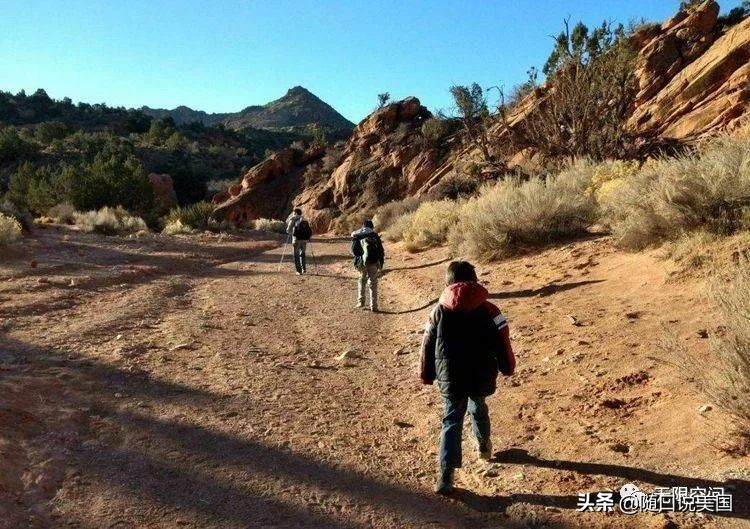 荒野乱斗流彩伊芙强度,荒野行动榴弹怎么用