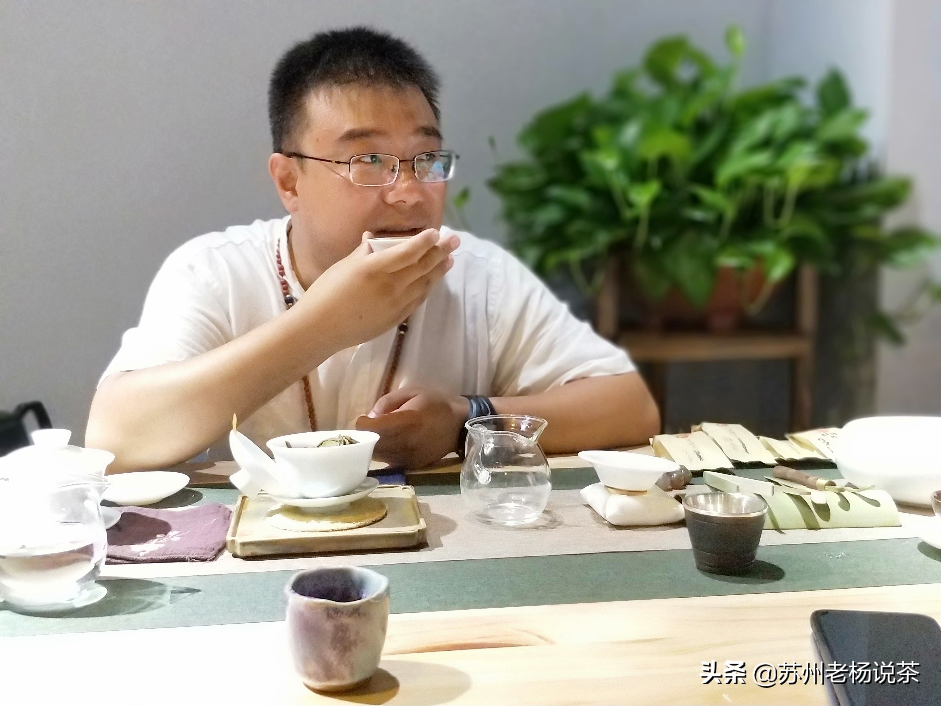 老杨说茶第一百零六期,老杨说茶2010版全集