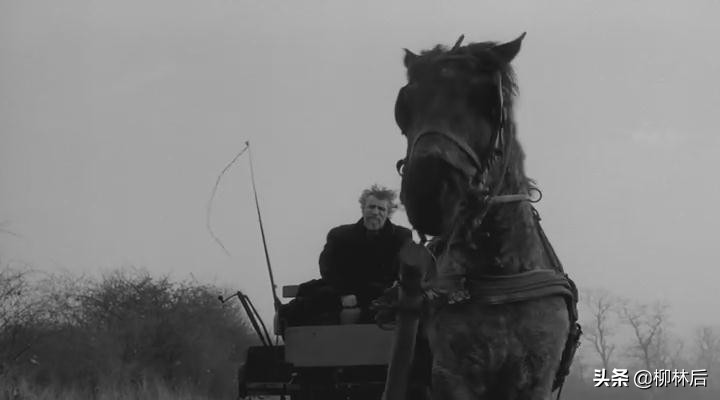 璞嗙摚鐢靛奖鐢熸棩蹇箰,璞嗙摚2022骞寸數褰辨帓琛屾top10