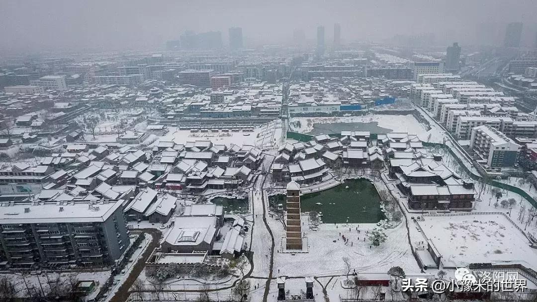 向洛阳人发出邀请国潮盛宴来袭,洛阳发布通知