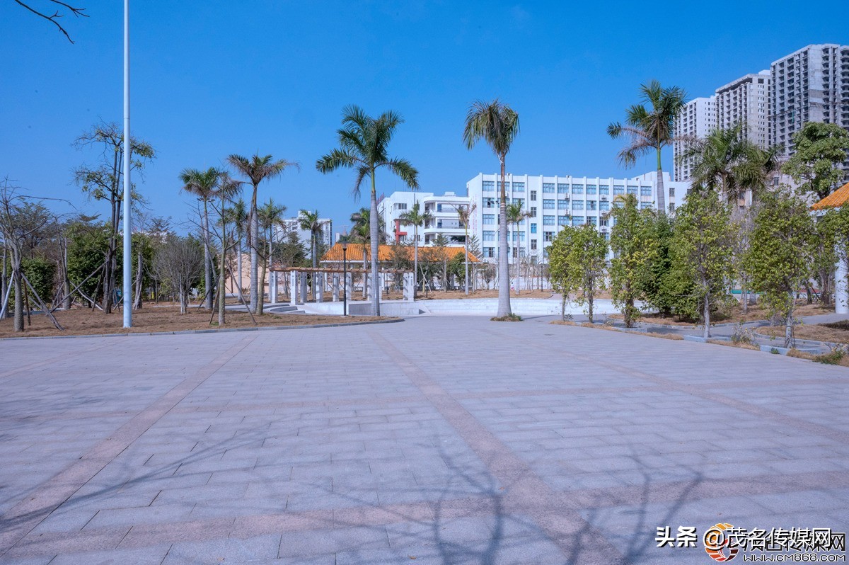 电白在崛起！——2021网络媒体看滨海（电白）采风活动