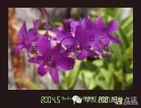 尼康单反初学人像摄影技巧大全,尼康单反相机入门教程人像