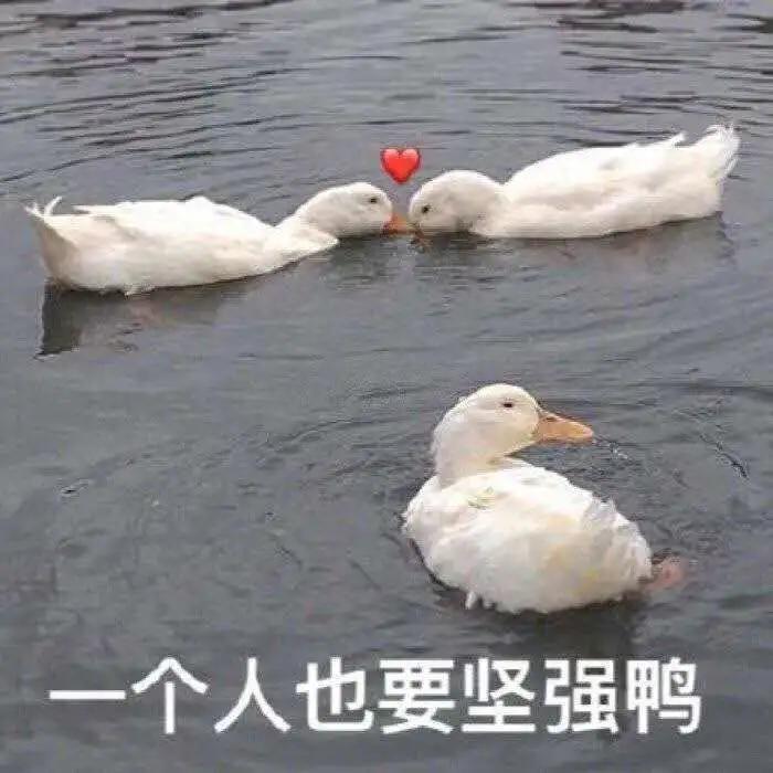 “蛋疼”真的不！能！忍！