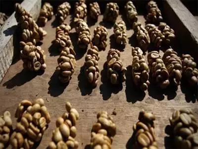 巴厘岛鸟园旅游攻略,大连至巴厘岛旅游自由行攻略