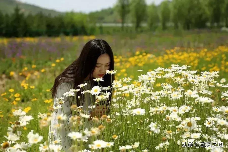 宁夏：相遇在泾源，邂逅人间最美的风景