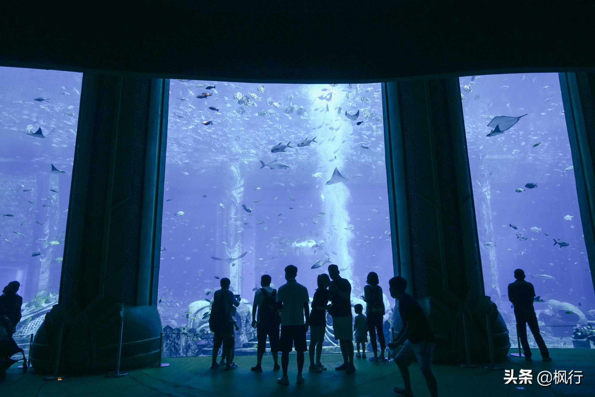 被猴子袭击，门票昂贵，拍照被轰，被我全程吐槽的三亚到底值不值