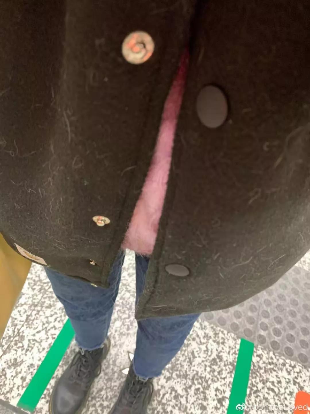 在路上捡回来的流浪猫给它洗澡,救助的流浪猫生病自己无能为力