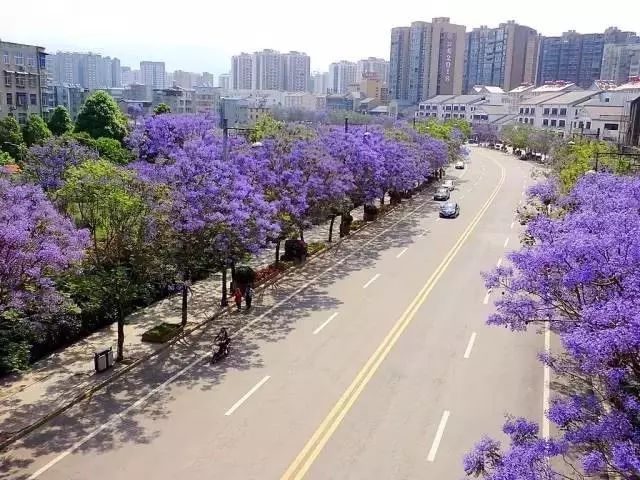 四川藏着一个静谧古城,四川被忽略的古城