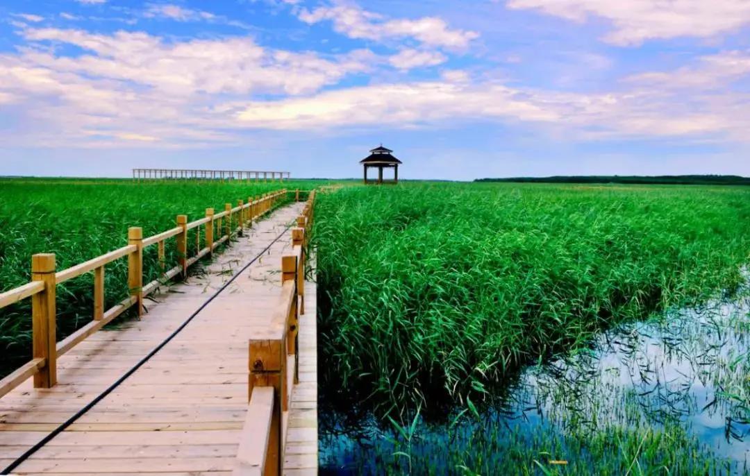 一派和谐的自然风光,一派祥和的自然风光