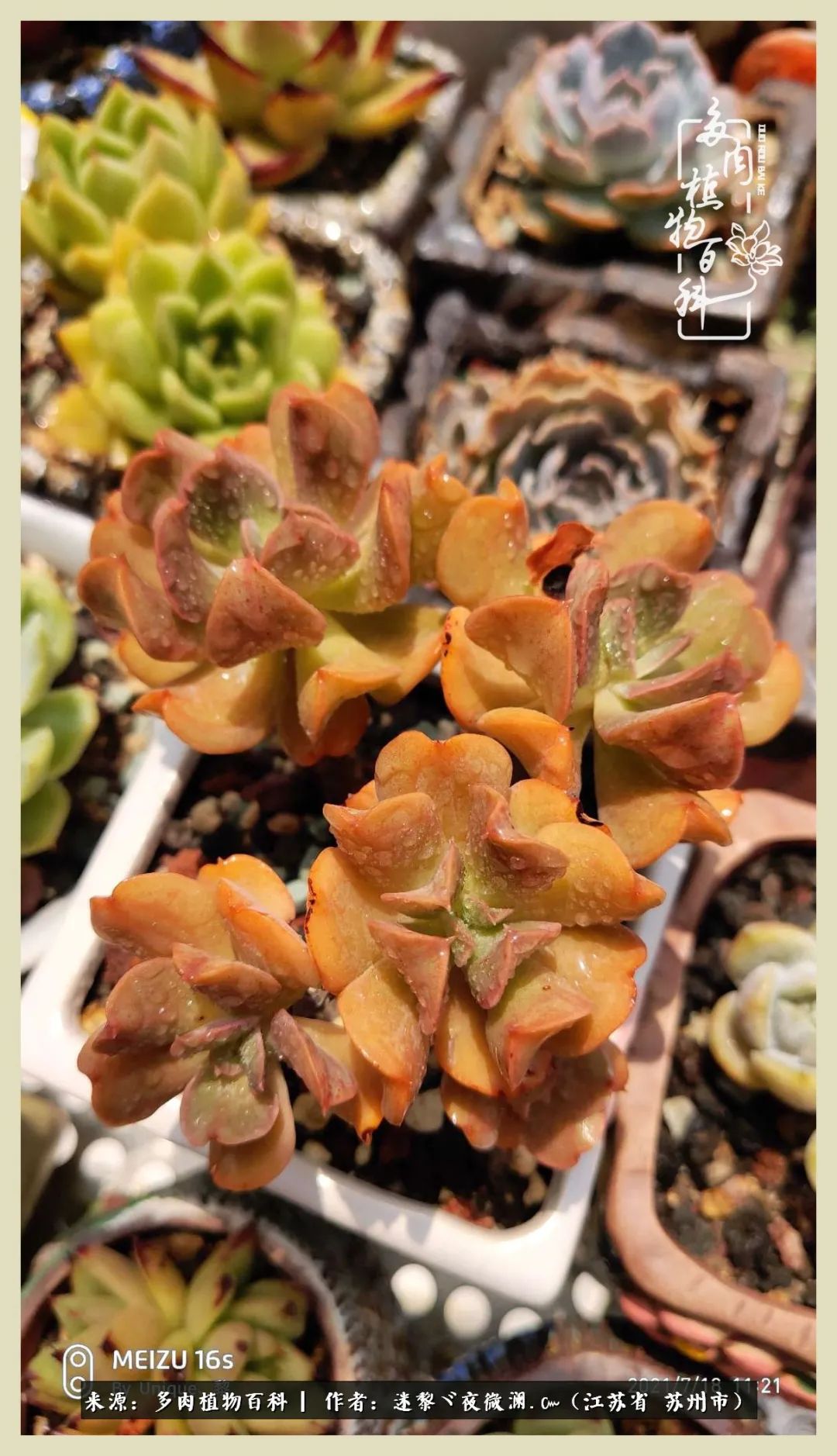 秋尽冬来岁月不居时节如流,岁月不居时节如流水