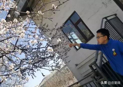 石家庄藁城旅游团,藁城周边免费一日游的绝佳去处