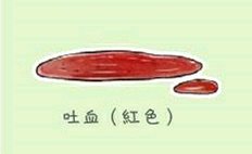 铲屎官都注意了狗狗为什么吐黄水,狗狗呕吐的5个常见原因