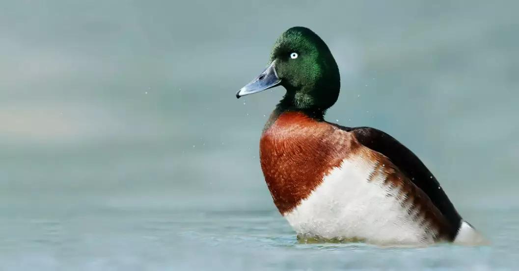 「992|动听河北」这片湖被称作“东亚蓝宝石”，竟是禹王治水留下的“禹迹”