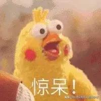 颜值高的口红国货有哪些,国货之光口红中国风