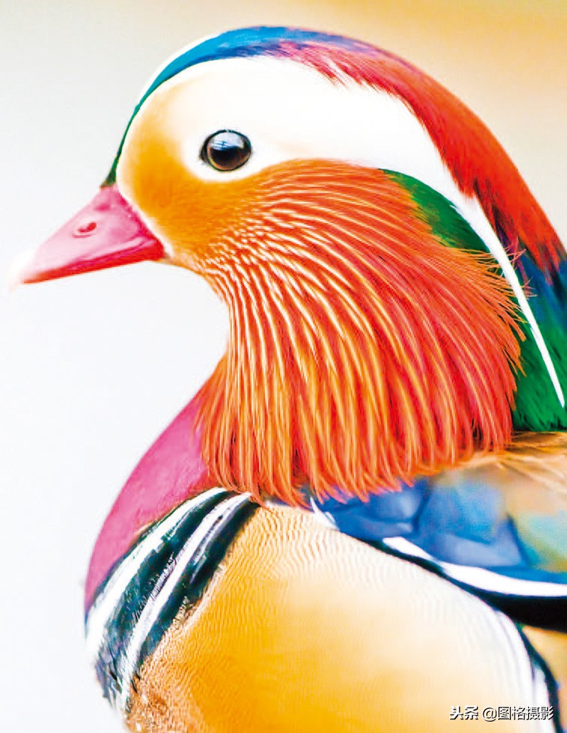 摄影师拍写真都看到了什么,摄影师拍的个人视频思路