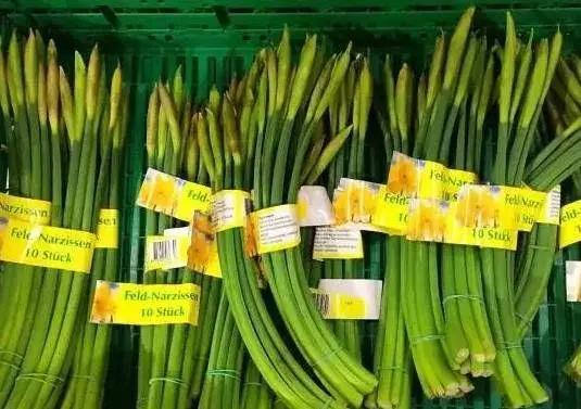 学姐神吐槽：在英国千万别做什么？看完我笑了