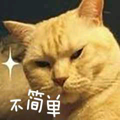 游戏中可以取什么名,在游戏中取什么名字不尴尬