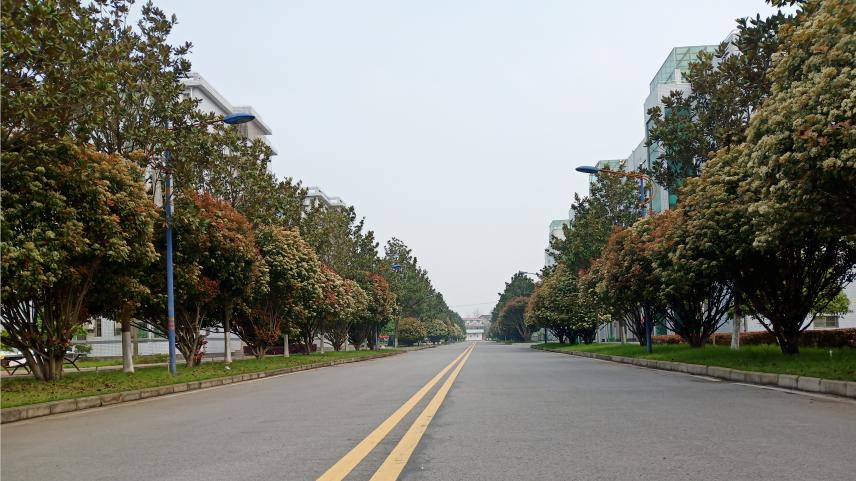 名校巡礼第二站,名校巡礼第八站