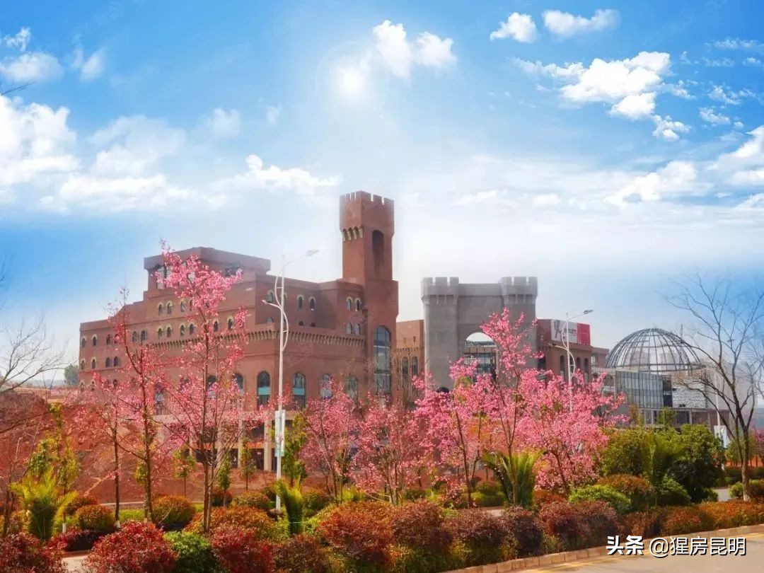 昆明23年商业情况分析,昆明商业行业现状分析