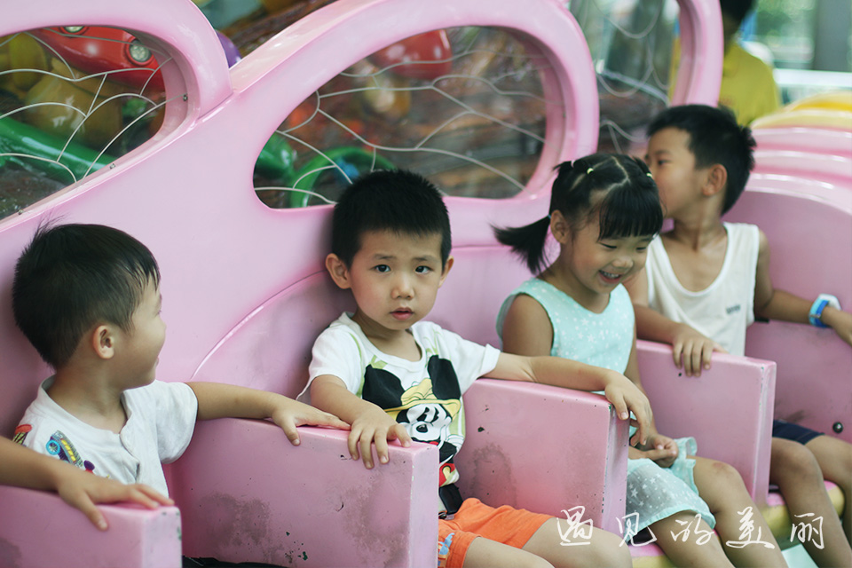 百万葵园有多坑,百万葵园免门票