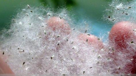 让你过敏,让人过敏的方法