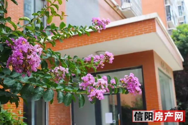 碧海名居河源,碧海名居准确地址