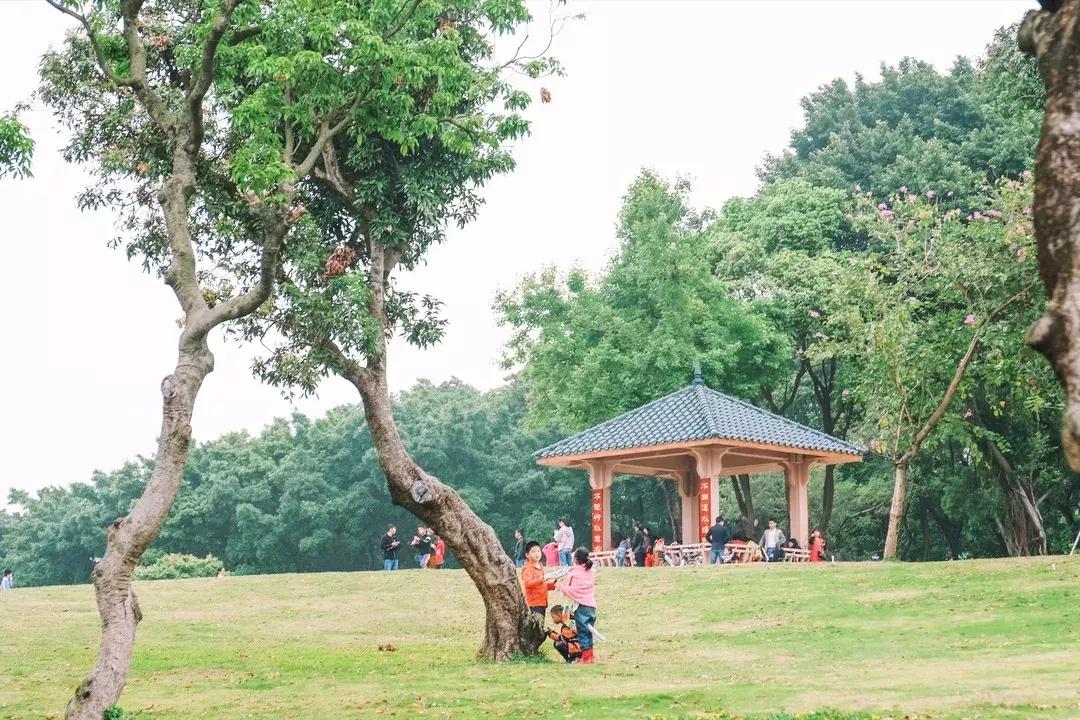 走进南头,这里是中山