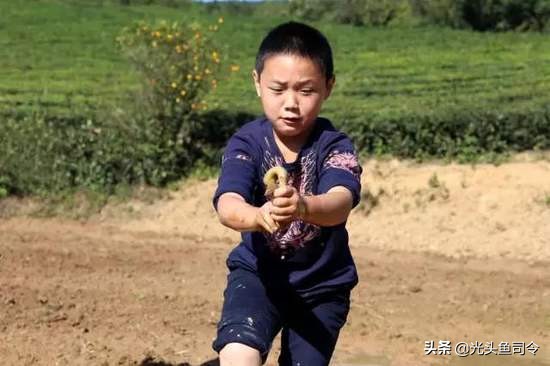 儿歌池塘里小泥鳅,池塘泥鳅儿歌