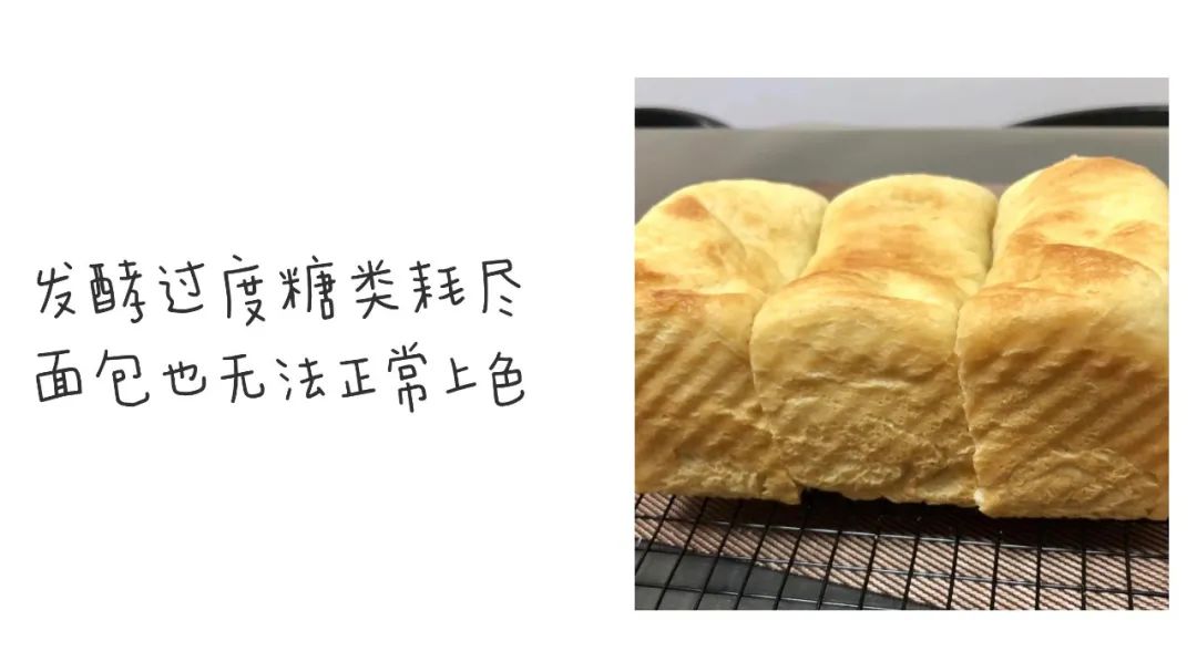 为什么我的面包发不起来,为什么我的面包不蓬松