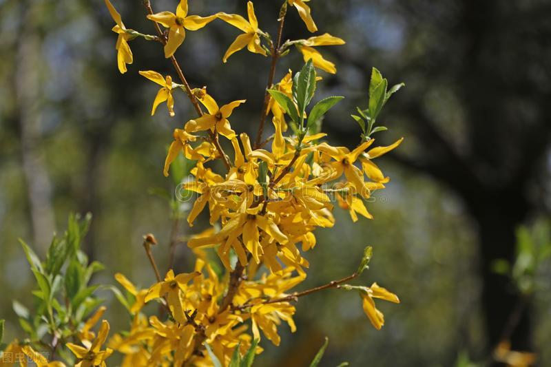 常用的流行性感冒药,治疗流行性感冒药有哪些