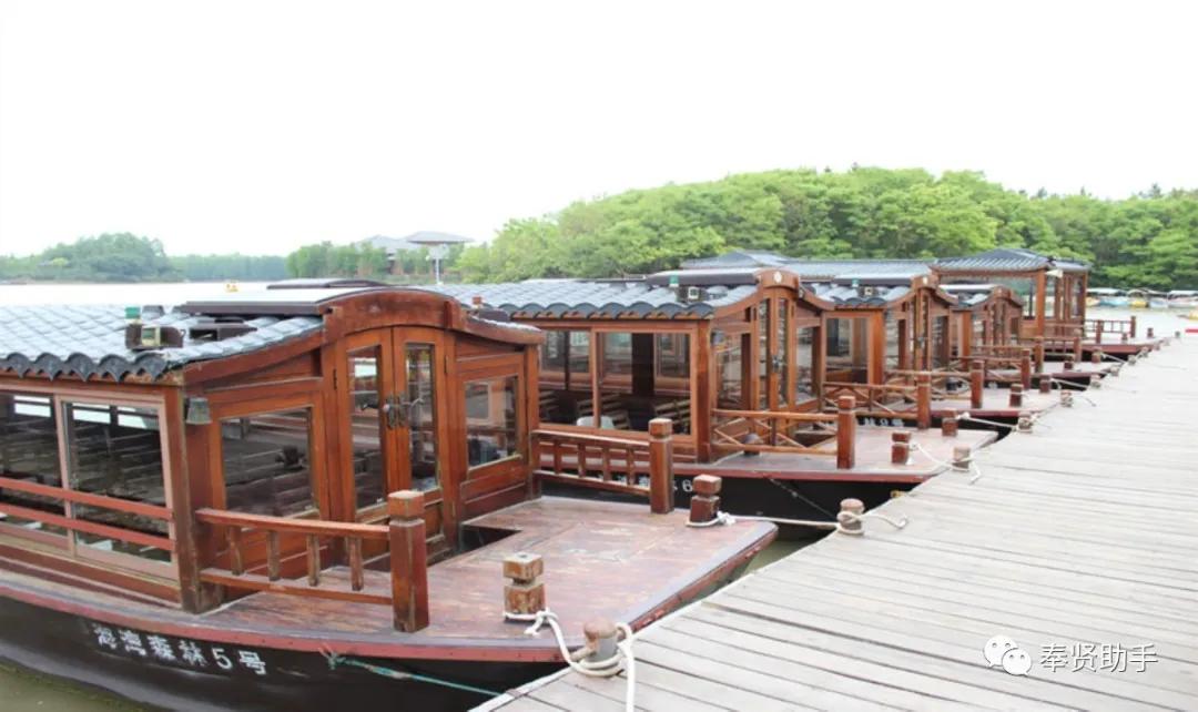 奉贤区南桥镇旅游景点,上海奉贤景点推荐一日游最佳路线