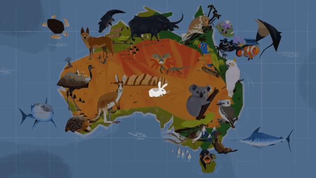 兔兔那么可爱为什么要吃兔兔呢,兔兔这么可爱为什么要吃兔兔