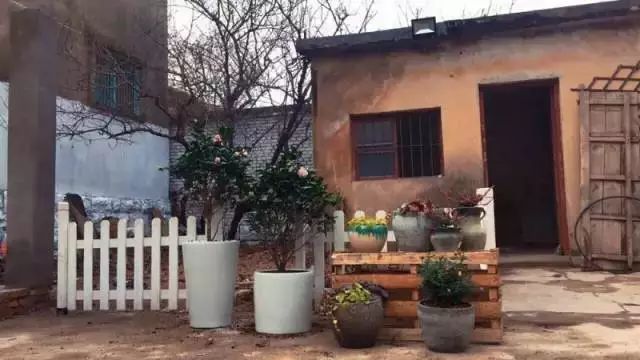 10000块能做点什么,10000块钱能做什么