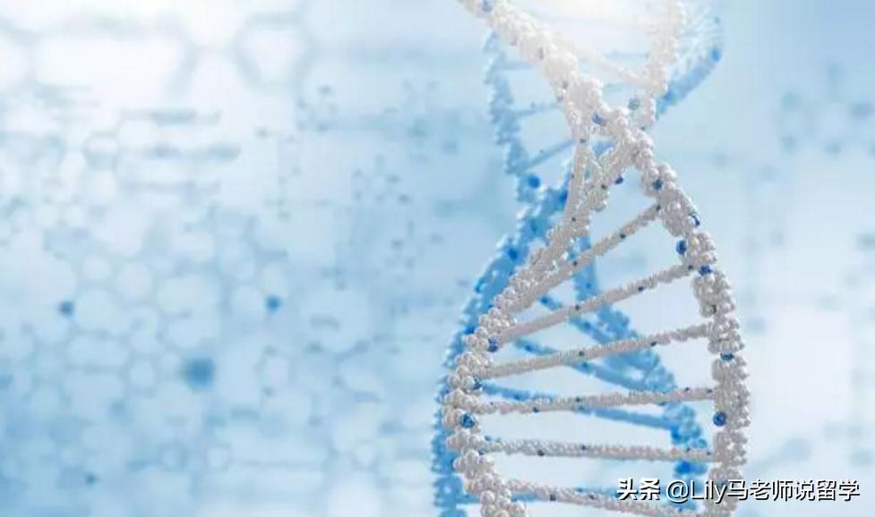 美国生物医学工程专业全面解析